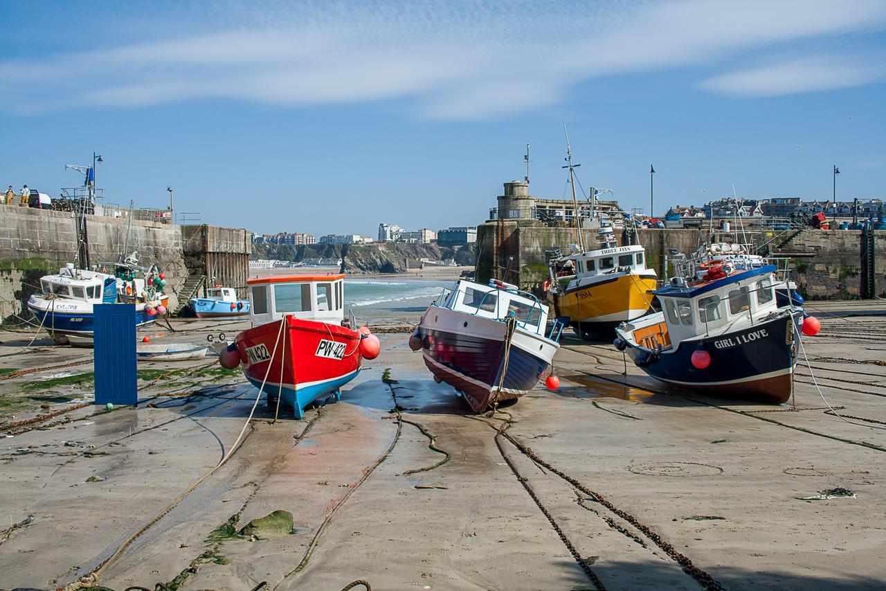 The Blue Door Bed & Breakfast New Quay Dış mekan fotoğraf